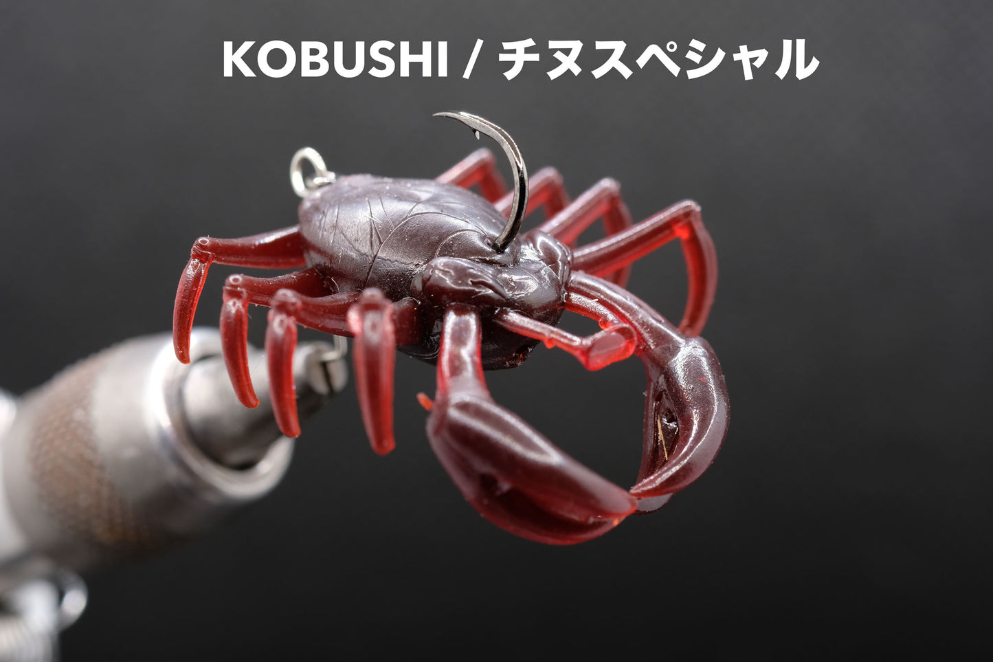 SIGNAL / KOBUSHI(コブシ)