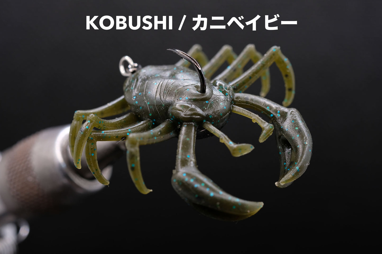 SIGNAL / KOBUSHI(コブシ)